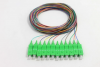 FBR-PT-SM-SC-APC-12CORE-1M 12 CORE - RENKLI SC APC SM 9/125 PIGTAIL - 1 MT