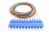FBR-PT-SM-SC-UPC-12CORE-1M 12 CORE - RENKLI SC UPC SM 9/125 PIGTAIL - 1 MT